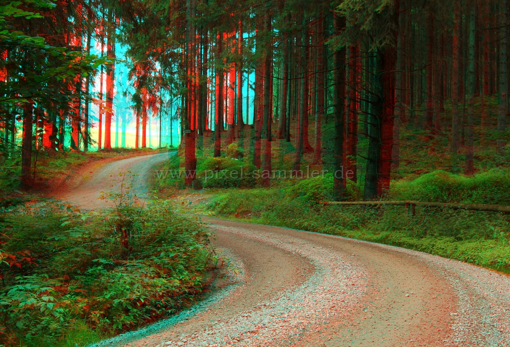 Wald3.JPG