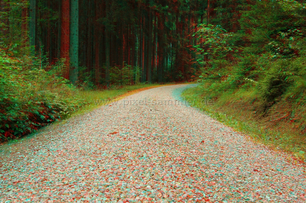 Wald5.JPG