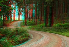 Wald3
