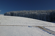 IMG_0979